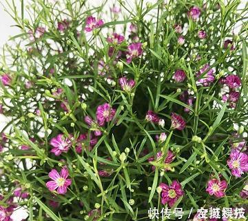 哭天喊地成语接龙游戏