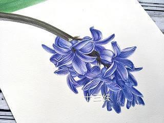 我_小学生作文,三年级作文,三年级写景作文_糖果咪咪完美作文