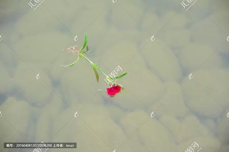 鸿章钜字成语接龙游戏