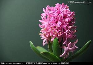 拾人涕唾成语接龙游戏