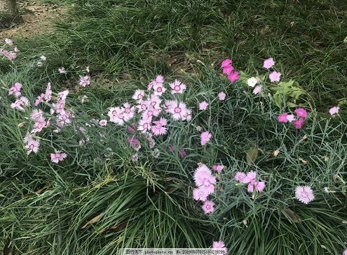 与表哥相处的日子