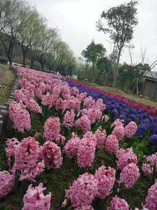 建队活动