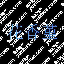 发新书