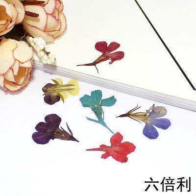 食甘寝宁成语接龙游戏