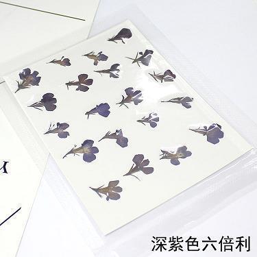 搓粉团朱成语接龙游戏