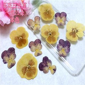 脑袋成了葫芦打一成语