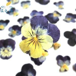 丰收的季节