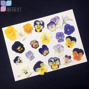 哑然失笑成语接龙游戏