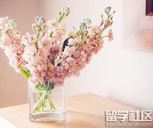 衣食住行成语接龙游戏