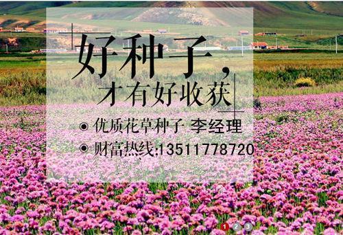 朝令暮改成语接龙游戏