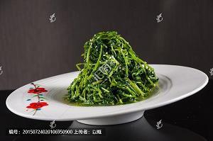 同气相求成语接龙游戏