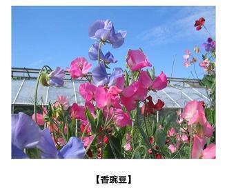 家乡的冬天
