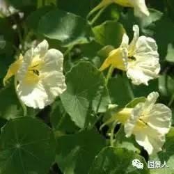 群起效尤成语接龙游戏