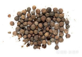 视死如饴成语接龙游戏