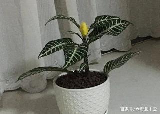 仰望灿烂夺目的星空