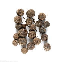 志高行洁成语接龙游戏