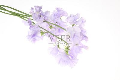 焚薮而田成语接龙游戏