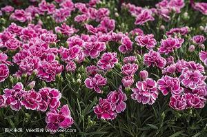 地主之谊造句-用地主之谊怎么造句
