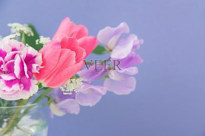 QQ宠物的成长记录
