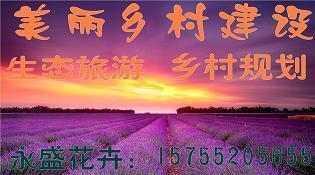 感恩母亲