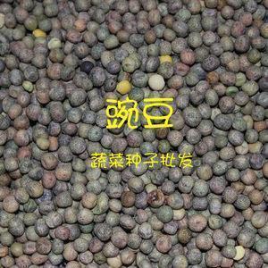 十二岁的我