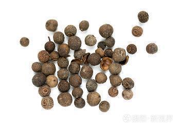 花容月貌成语接龙游戏