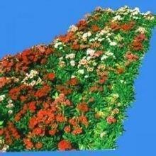 匆忙的早晨_小学生作文,四年级作文,四年级写景作文_梁学红完美作文