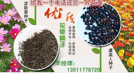 样样俱全成语接龙游戏