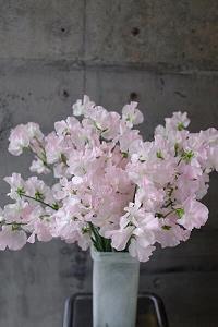 安贫乐贱成语接龙游戏
