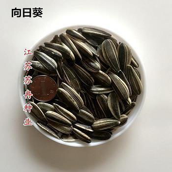 敦本务实成语接龙游戏