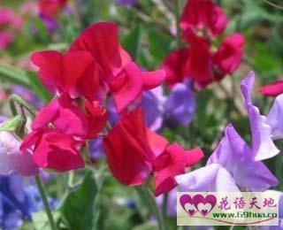 孟尝君的门客打一成语
