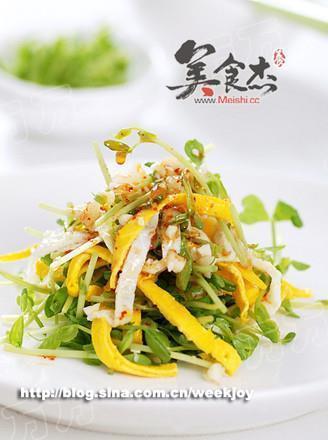 和海豚的初次亲密接触