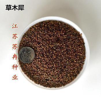 中国古代绘画历史_小学生作文,三年级作文,三年级写景作文_实验小学 曾夕芮完美作文