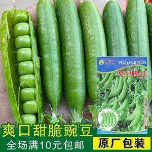 寸长片善成语接龙游戏