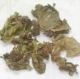 操揉磨治成语接龙游戏