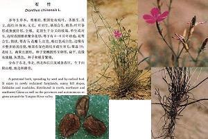 一目了然造句-用一目了然怎么造句