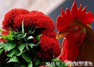 假如