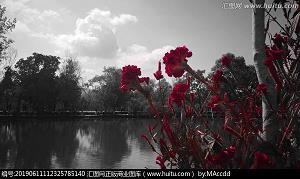 奶奶“玩”QQ秀
