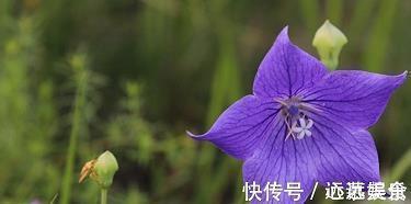 去金顶的路上