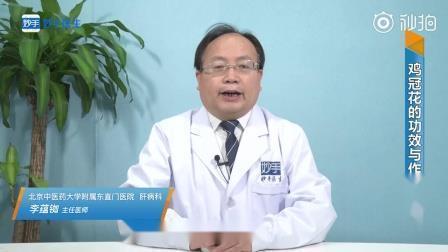 辞多受少成语接龙游戏