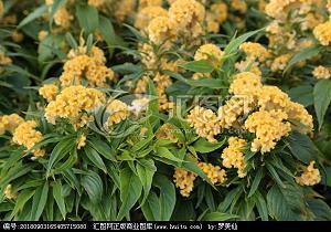 上海科技馆一日游 周怡琳