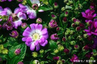 分手打一成语