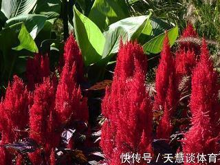 短吁长叹成语接龙游戏