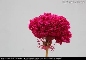 河带山砺成语接龙游戏