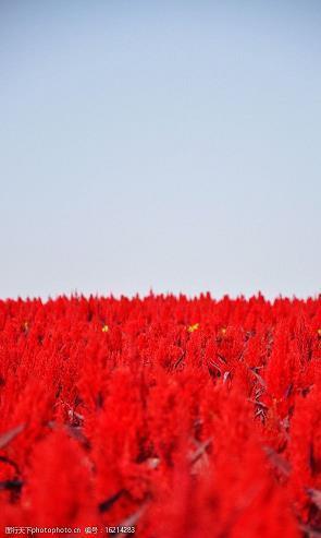 排患解纷成语接龙游戏
