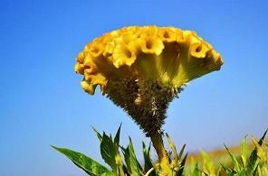 《震动》片段阅读