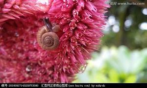 多谋善虑成语接龙游戏