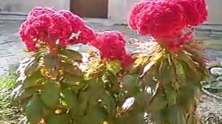 季节