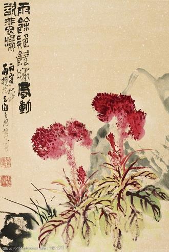 学校的小花园