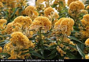 “雷锋”在我身边